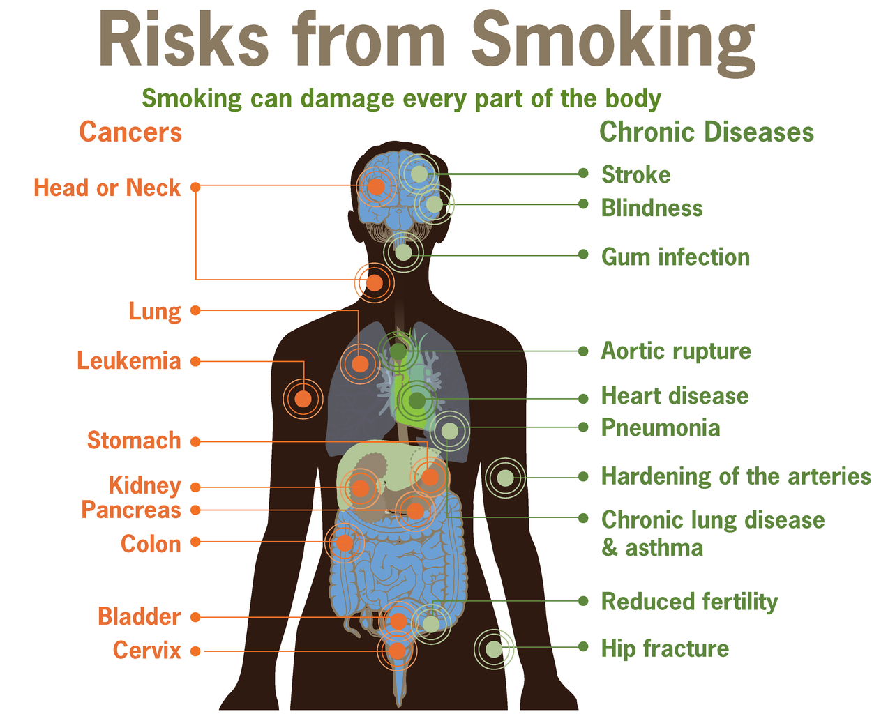 Ill effects of Smoking