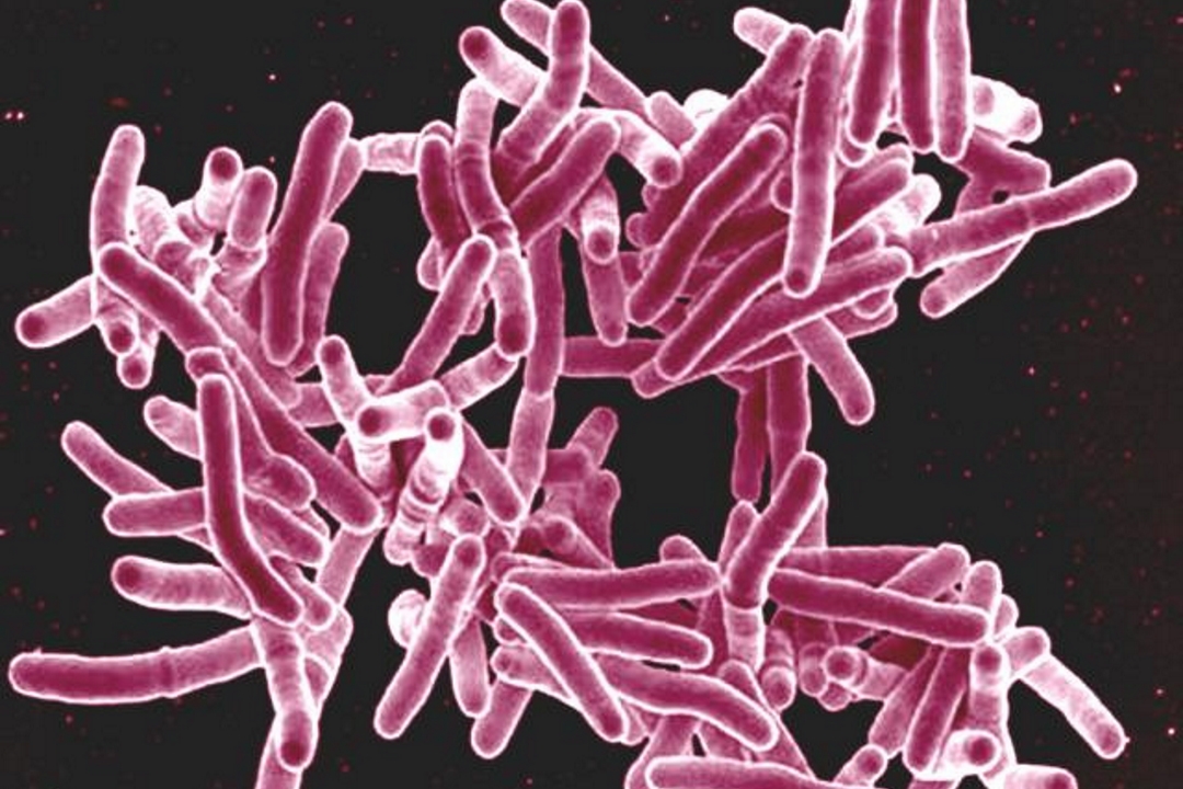 Tuberculosis Management and its Medicines mTatva HealthPIE